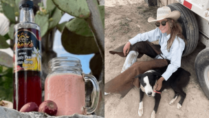 cowgirl-magazine-prickly-pear-smoothie