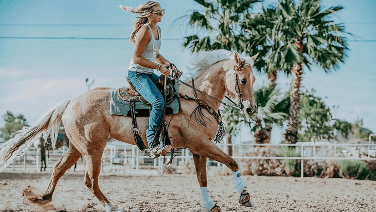 cowgirl-magazine-plan-your-ride