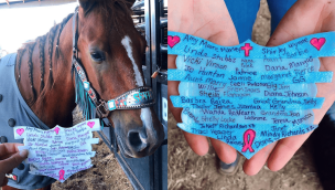cowgirl-magazine-cancer-awareness-flair-strips