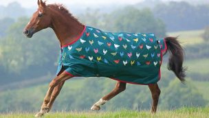 horse blankets cowgirl magazine