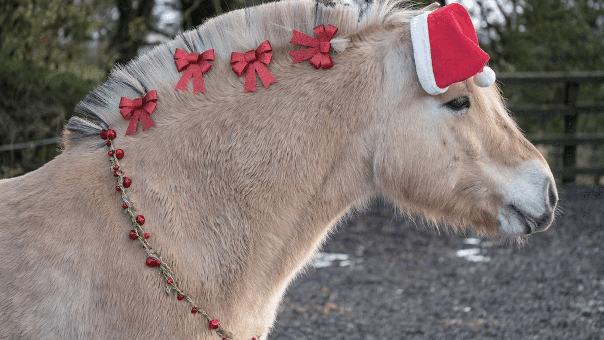 christmas horse cowgirl magazine