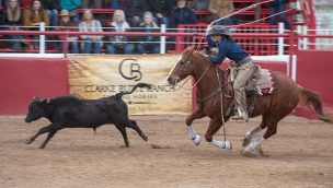 art of the cowgirl ranch rodeo cowgirl magazine