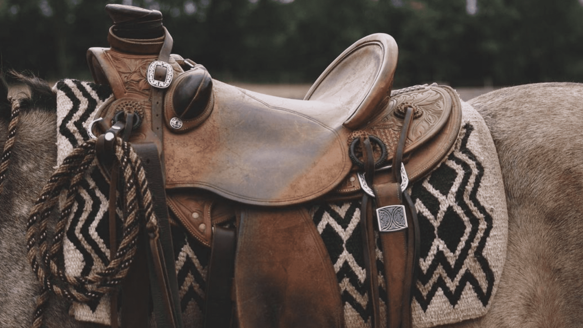 saddle fit cowgirl magazine