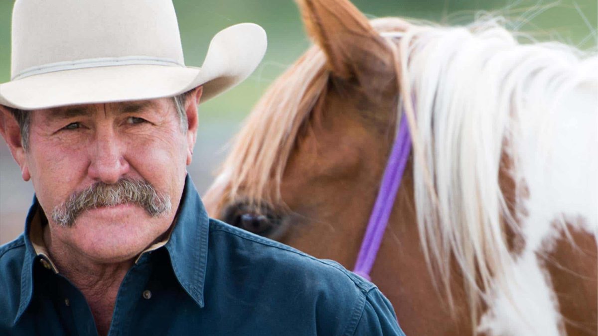 pat parelli road to the horse cowgirl magazine