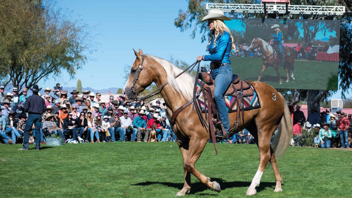how to make a cadillac horse cowgirl magazine