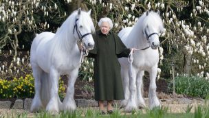 queen elizabeths horses cowgirl magazine