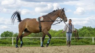 lunging cowgirl magazine