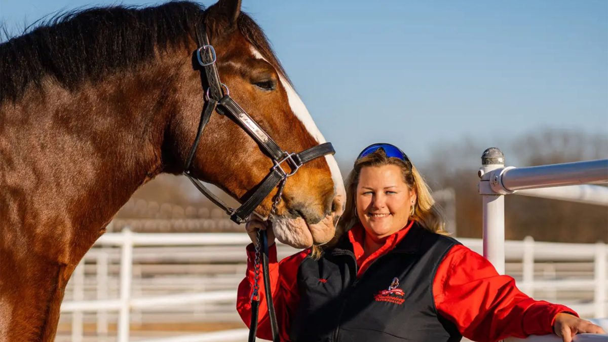 budweiser clydesdales ranch manager cowgirl magazine
