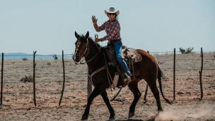 legacy ranch horse sale cowgirl magazine