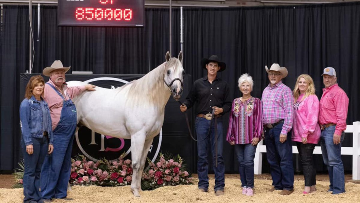 pink buckle horse sale cowgirl magazine