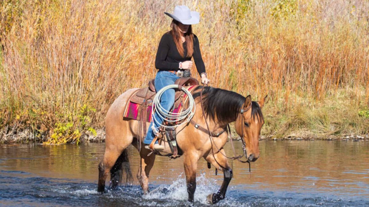 cowgirl cadillacs featured consignors cowgirl magazine