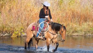cowgirl cadillacs featured consignors cowgirl magazine