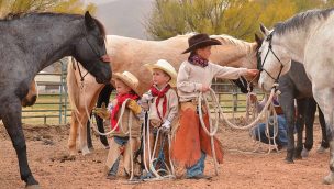 heber valley horse sale cowgirl magazine