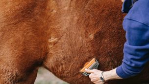 spring grooming hacks cowgirl magazine