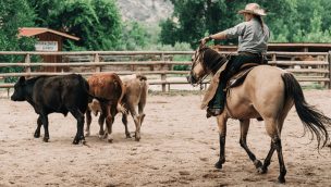 working cattle dude ranch COWGIRL magazine
