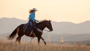 diamond mcnabb ranch horse sale cowgirl magazine