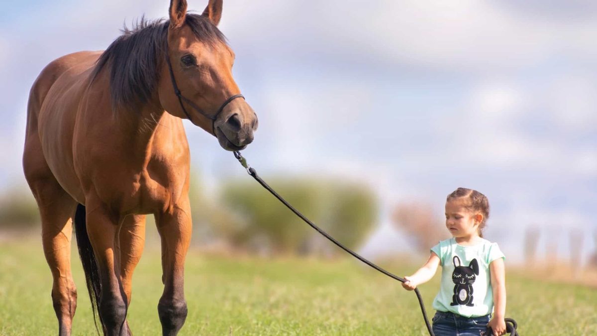 horse and child COWGIRL magazine