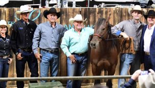 legacy ranch horse sale cowgirl magazine