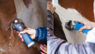 clipping horses COWGIRL magazine