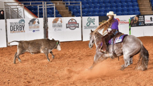 reined cow horse COWGIRL magazine
