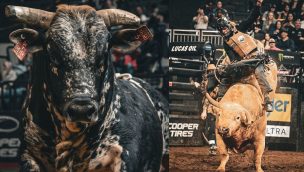 pbr teams welcomes new teams cowgirl magazine